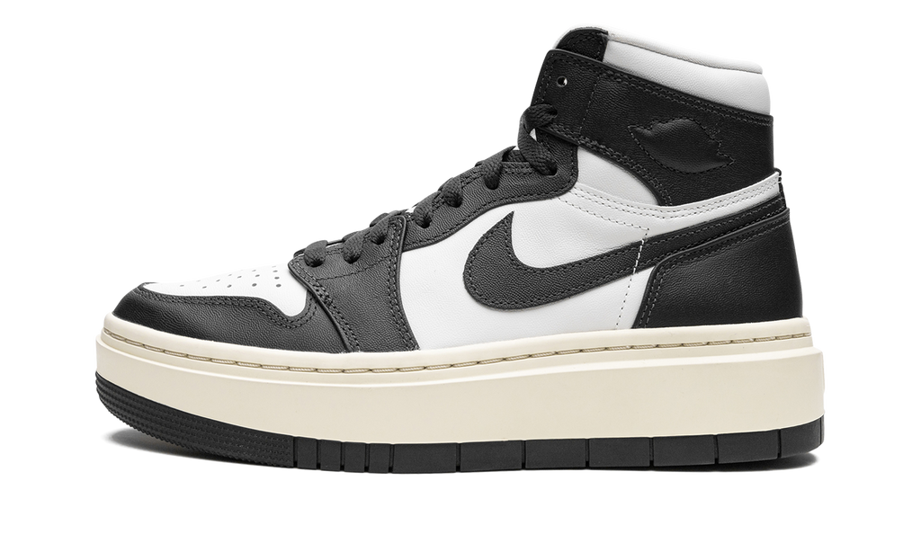 AIR JORDAN 1 ELEVATE HIGH WMNS "Dark Ash" DN3253 100